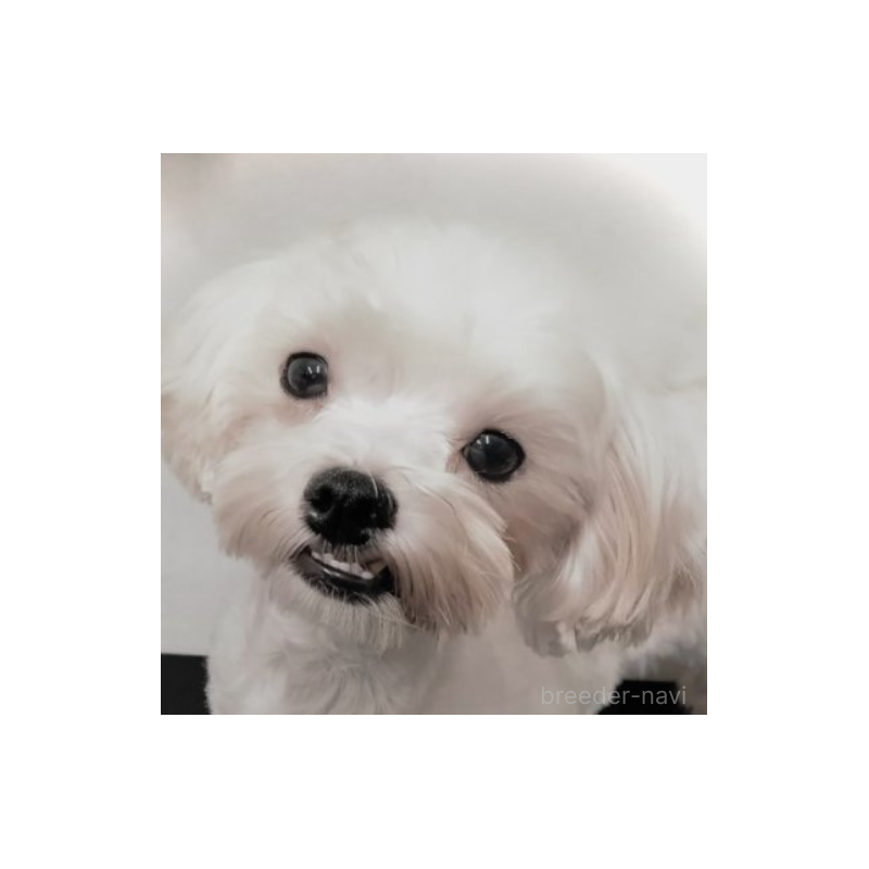 クララちゃん1枚目